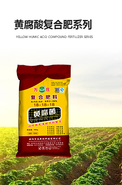 黄腐酸复岳阳系列