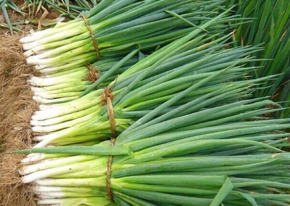 w6rzhvnp1t8e30cj27m5a45f38f4932d